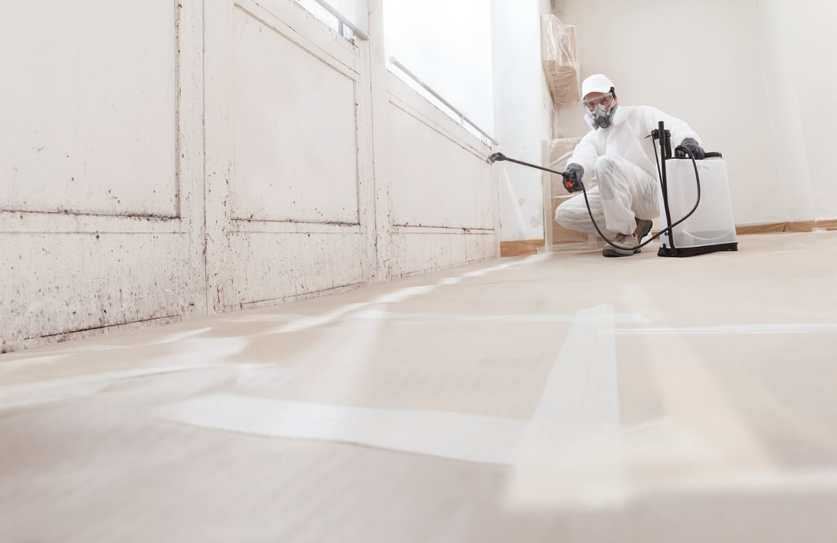 Professional mold remediation technician in protective gear treating mold in home